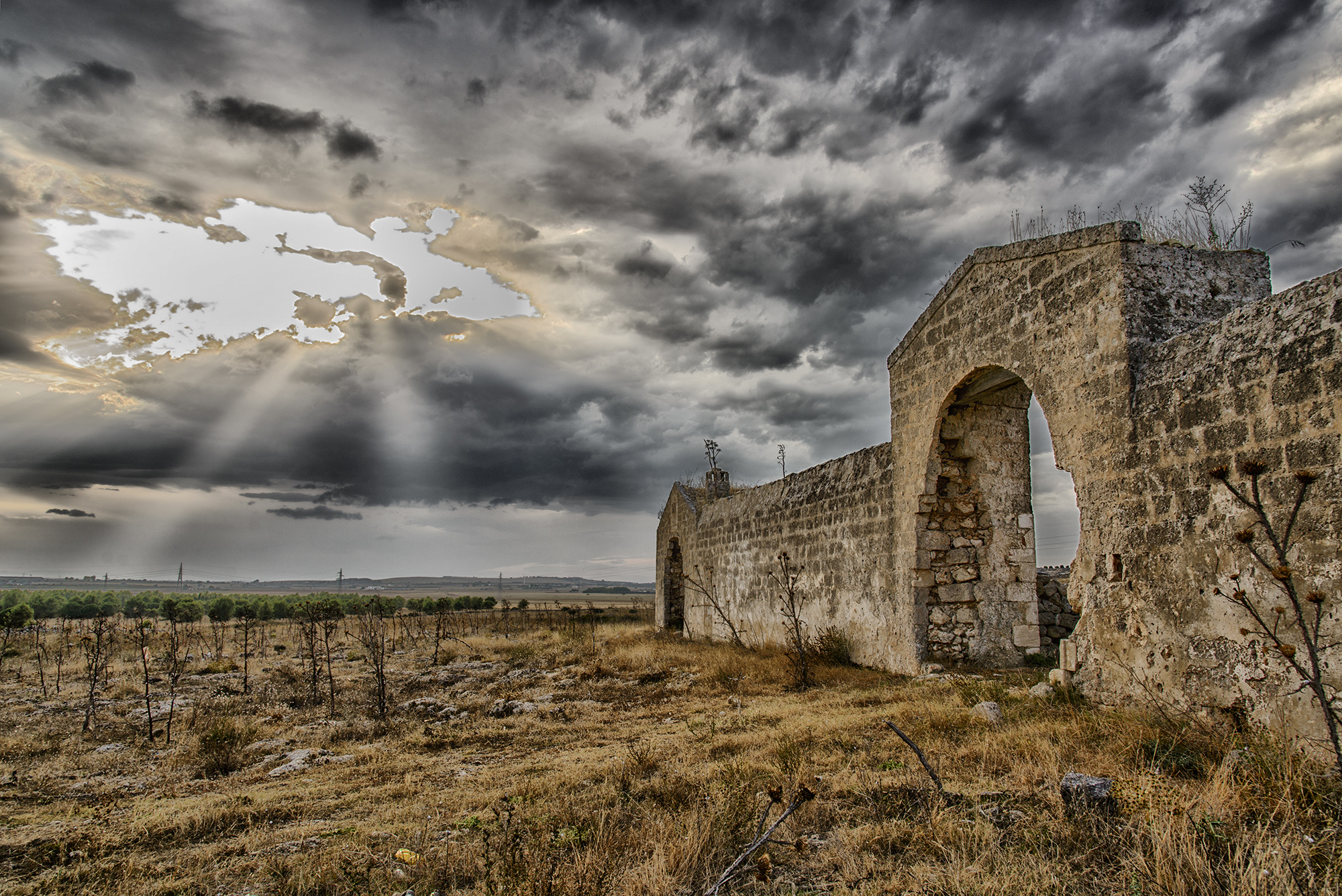 Masseria di Domenico Cippitelli