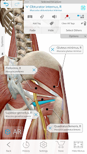 Human Anatomy Atlas 2021 3D v2021.1.68 Paid APK 2