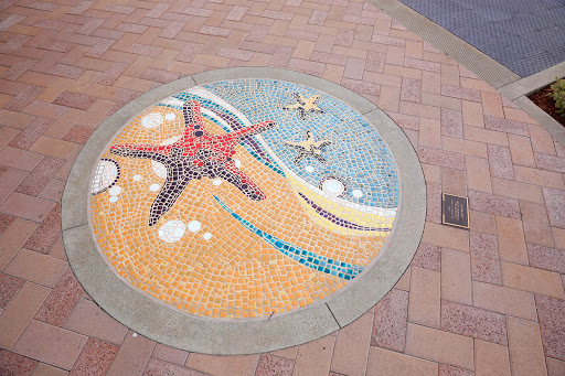 Starfish Mosaic