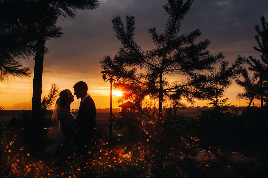 結婚式の写真家Aleksandr Lobach (lobach)。2018 8月21日の写真