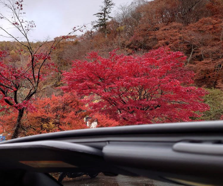 フェアレディZ ロードスターのあなたの推し純正品・オープンカー・紅葉・もみじ狩り・紅葉狩りに関するカスタム事例の投稿画像4枚目