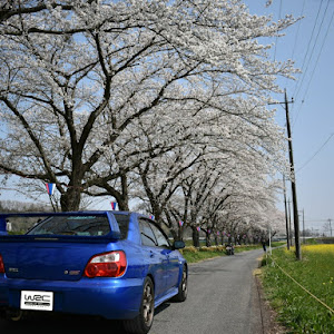 インプレッサ WRX STI GDB