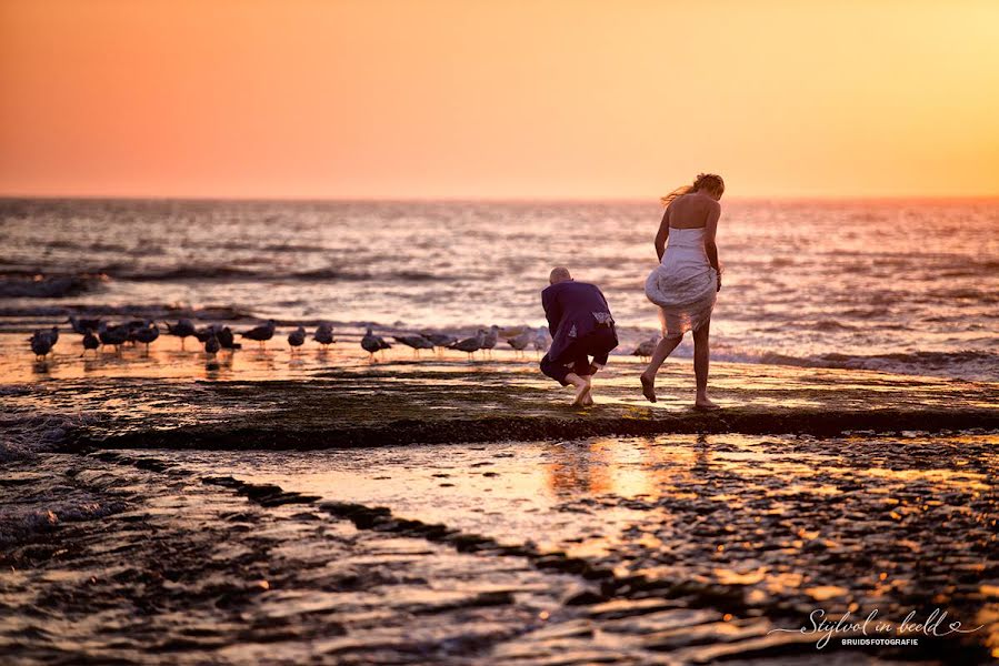 Huwelijksfotograaf Charlène Van Der Gracht (stijlvolinbeeld). Foto van 6 maart 2019