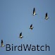 BirdWatch/バードウォッチ