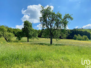 terrain à Bendorf (68)