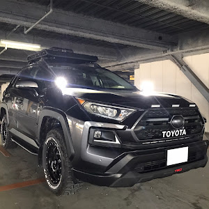 RAV4 MXAA54