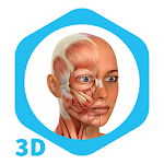 Cover Image of ดาวน์โหลด Medical Terminology Learning Quiz - Anatomy 3D 0.1 APK