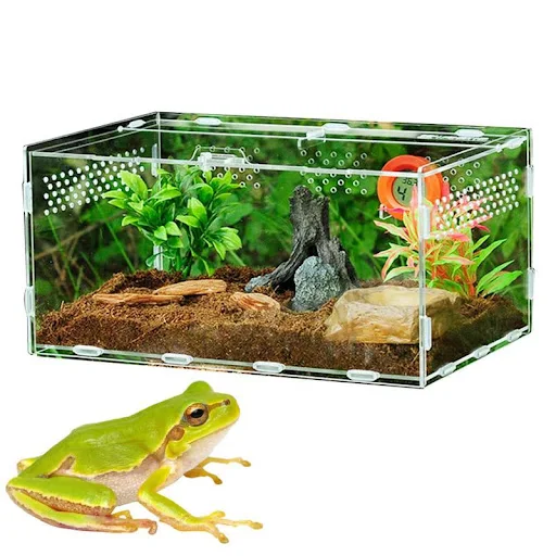 Acrylic Terrarium Acrylic Reptile Feeding Box All-round 360 Degree Transparent Carrier For Pet Spiders Scorpions Horned 