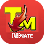 Cover Image of Descargar Guide For Tobowmaty 7.3 APK