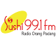 Download Radio Sushi FM For PC Windows and Mac 1.0.1