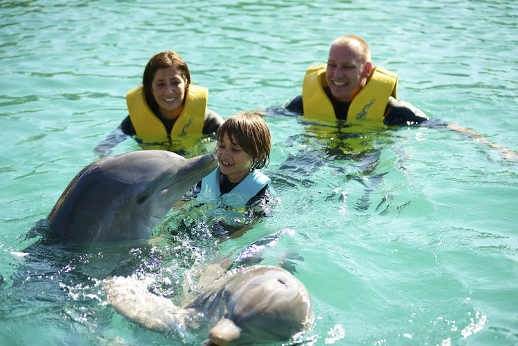 Experience a dolphin encounter with the family while visiting Paradise Island in the Bahamas. 