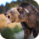 Download Real Bear Simulator 2017 For PC Windows and Mac 1.0