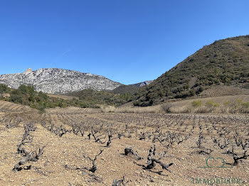 terrain à Maury (66)