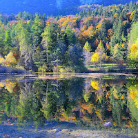 primi colori d'autunno di 