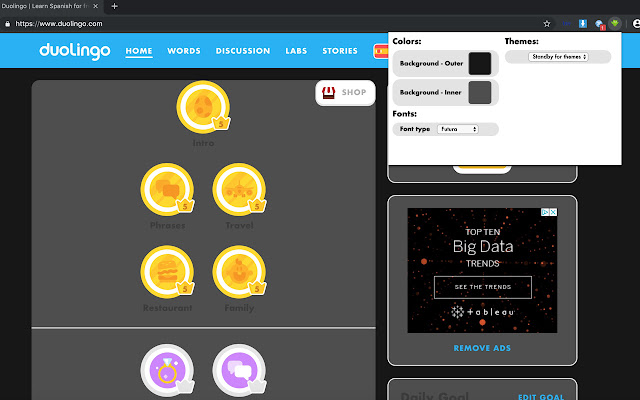 Duolingo Appearance chrome extension