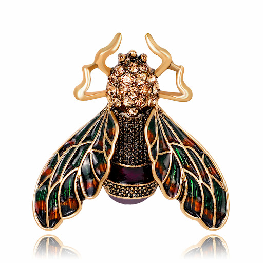 Insect