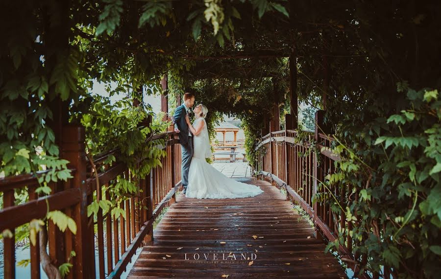 Photographe de mariage Amy Loveland (amylovelandphoto). Photo du 1 juillet 2019