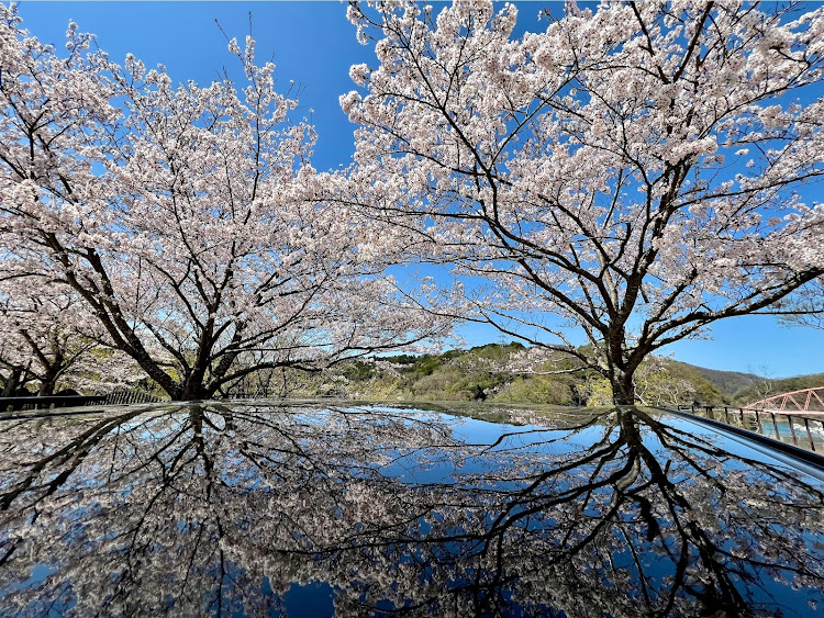 の投稿画像2枚目