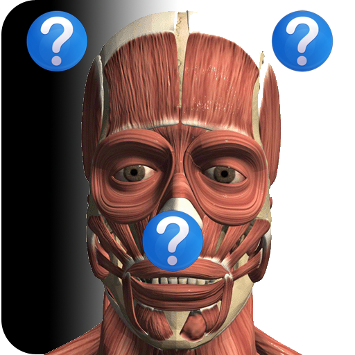 Anatomy Quiz Free