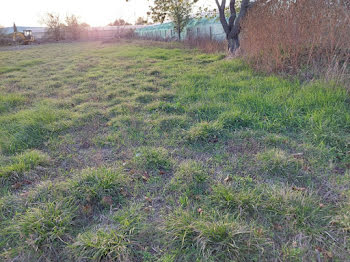 terrain à Castelginest (31)