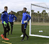 Gabulov ou Horvath dans les cages contre Anderlecht? Leko réagit