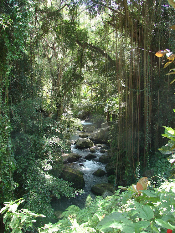 bali gunung kawi