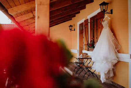 Fotografo di matrimoni Gábor Bolla (bollagabor). Foto del 8 febbraio 2019