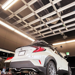 C-HR ZYX11