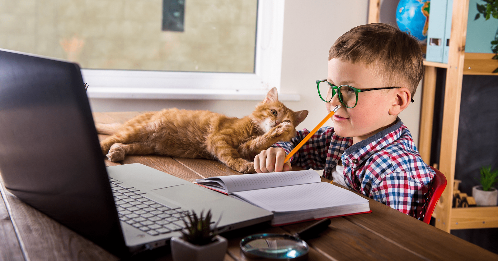 Orange cat laying on desk beside boy doing schoolwork on laptop and notebook