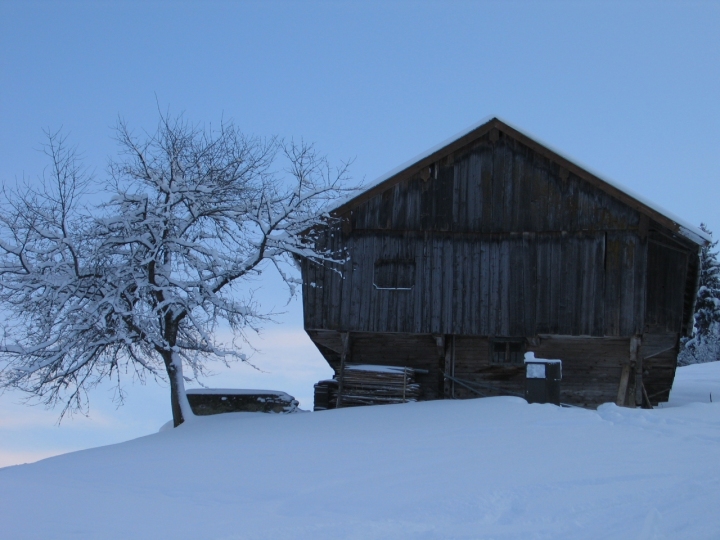 Sulle piste di kitzbhuel di casty34