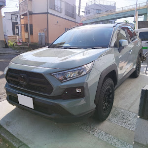 RAV4 MXAA54