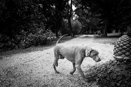 Bryllupsfotograf Fabrizio Russo (fabriziorusso). Bilde av 29 desember 2020