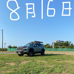 RAV4 MXAA54