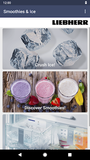 Liebherr Smoothies  Ice