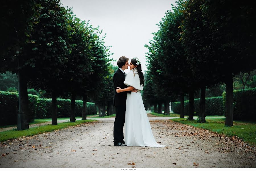 Fotografo di matrimoni Dmitriy Morozov (gabbos). Foto del 6 maggio 2017