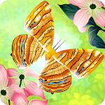 Cover Image of Download Flutter: Butterfly Sanctuary 2.71 APK