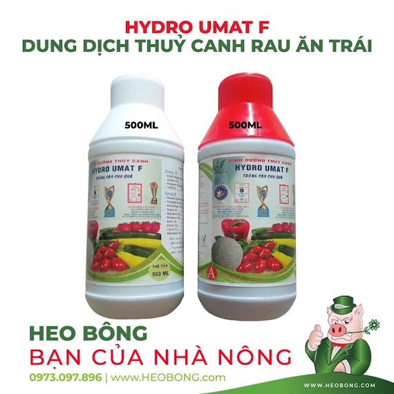 1 Cặp Dinh Dưỡng Thuỷ Canh Cho Rau Ăn Quả Hydro Umat F (Group A Và Group B) - 500Ml/Chai