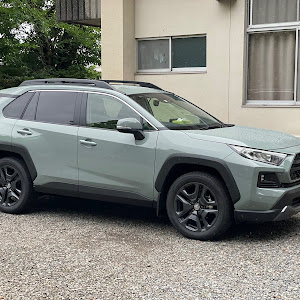 RAV4 MXAA54