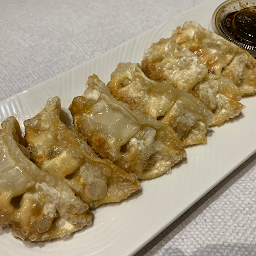 Deep Fried Veggie Gyoza