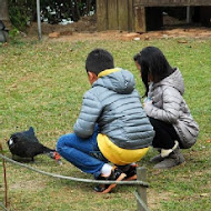 綠風草原餐廳