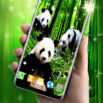 Cover Image of Download Cute Panda Parallax 🐼 Bamboo Live Wallpaper HD 4.17.0 APK