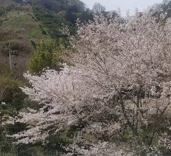 活動休止のお知らせ