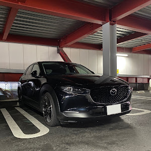 CX-30 DMEP