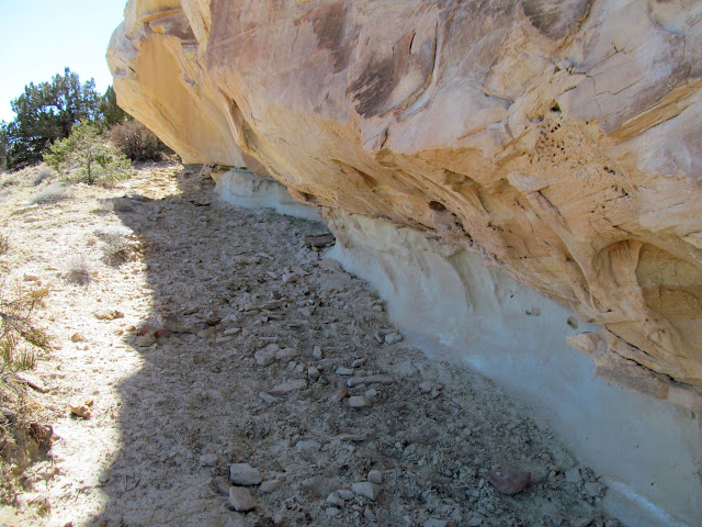 Overhang used heavily by cattle