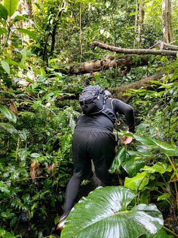 Bukit Repin via Janda Baik Trail