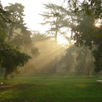 Mattina nel parco di 