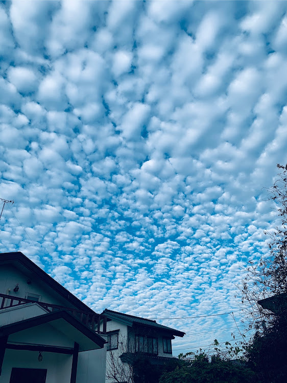 ヴェゼルの雲に関するカスタム事例の投稿画像2枚目