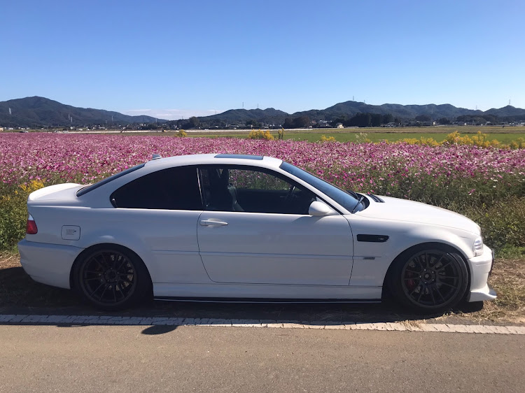 M3 クーペの11月もよろしくお願いします・E46M3・秋桜畑・秋桜とコラボに関するカスタム事例の投稿画像6枚目