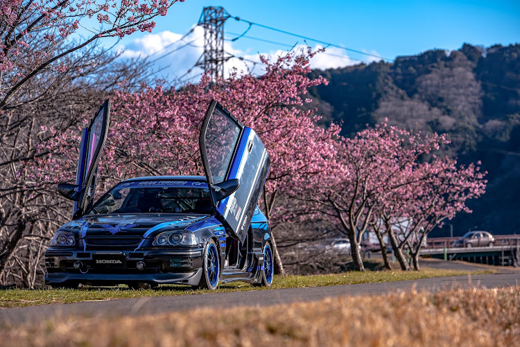 シビックの河津桜・一眼レフ・3月もよろしくお願いします・花粉症・discover＿ctに関するカスタム事例の投稿画像4枚目