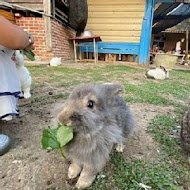 蕭家大院兔子親子餐廳